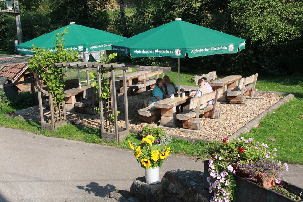 Landgasthof Untere Muehle 알피르스바흐 외부 사진