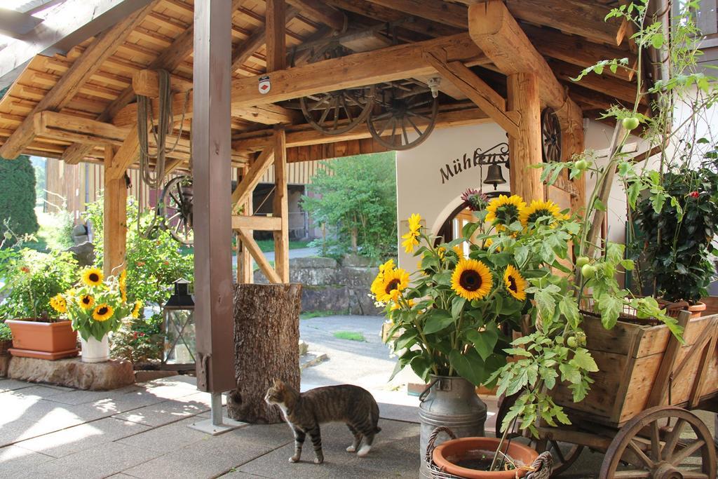 Landgasthof Untere Muehle 알피르스바흐 외부 사진
